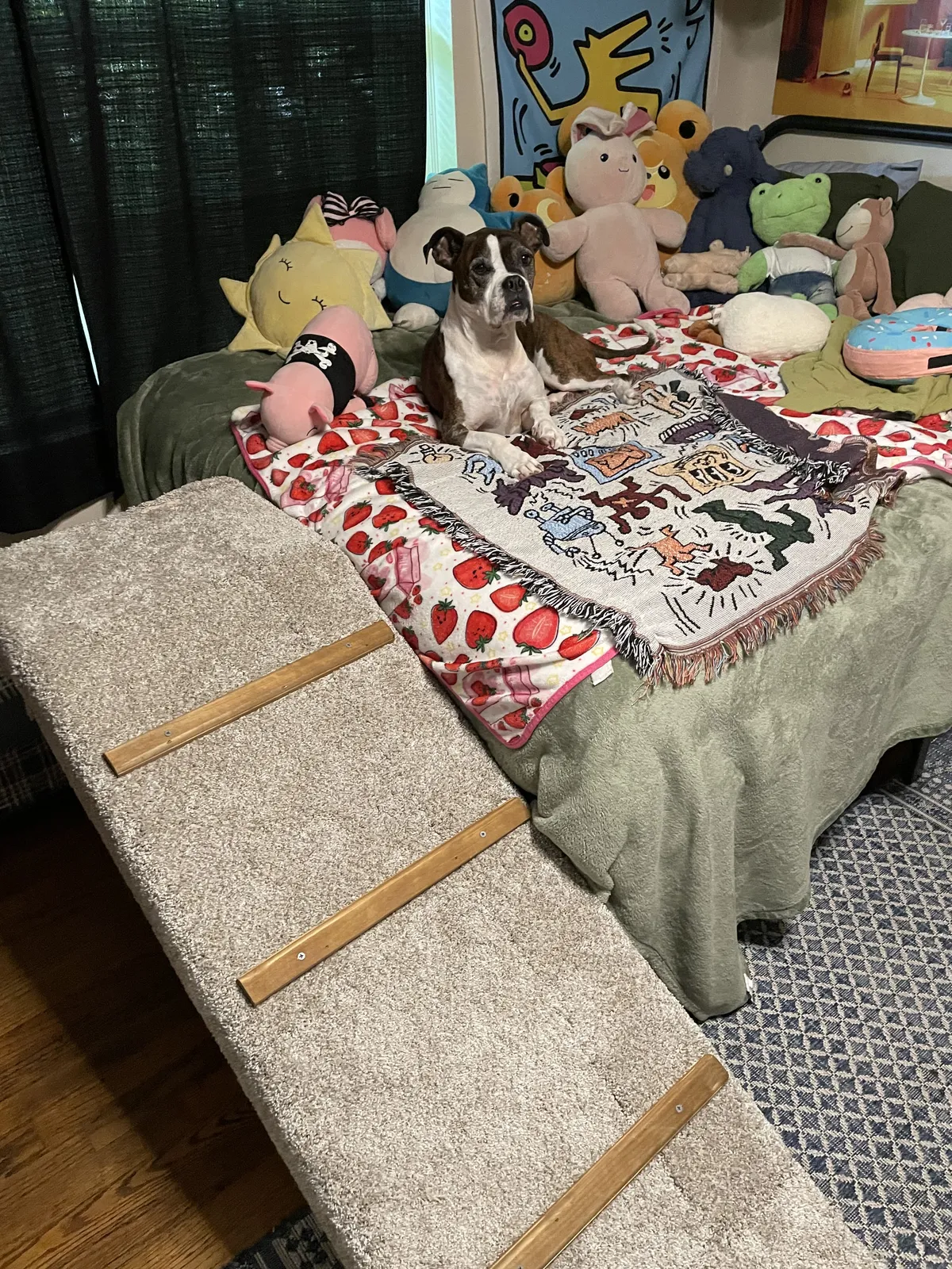 Finished ramp in room