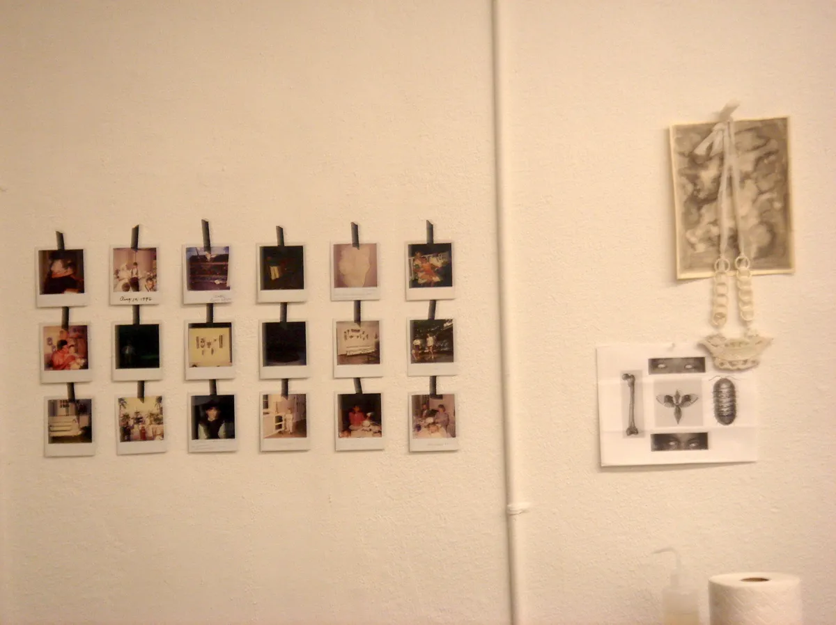Polaroid Wall