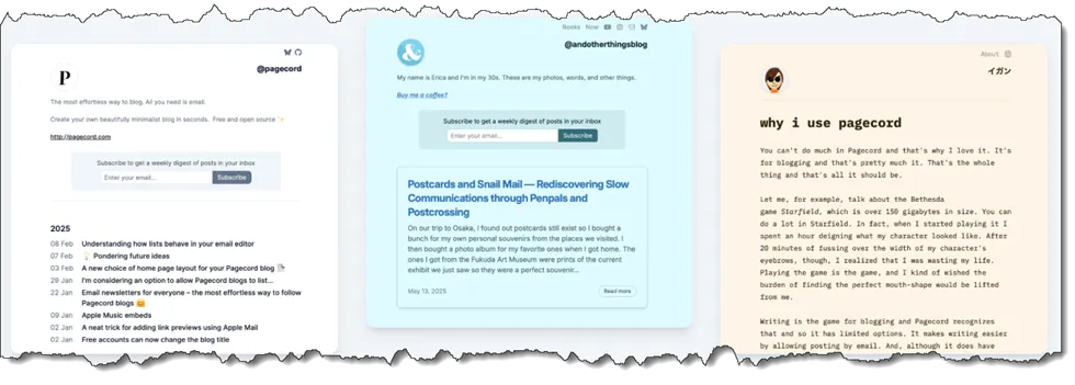 example screen shots from pagecord website