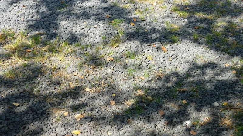 path-weeding-1