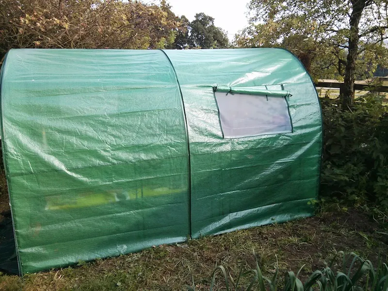 The Polytunnel