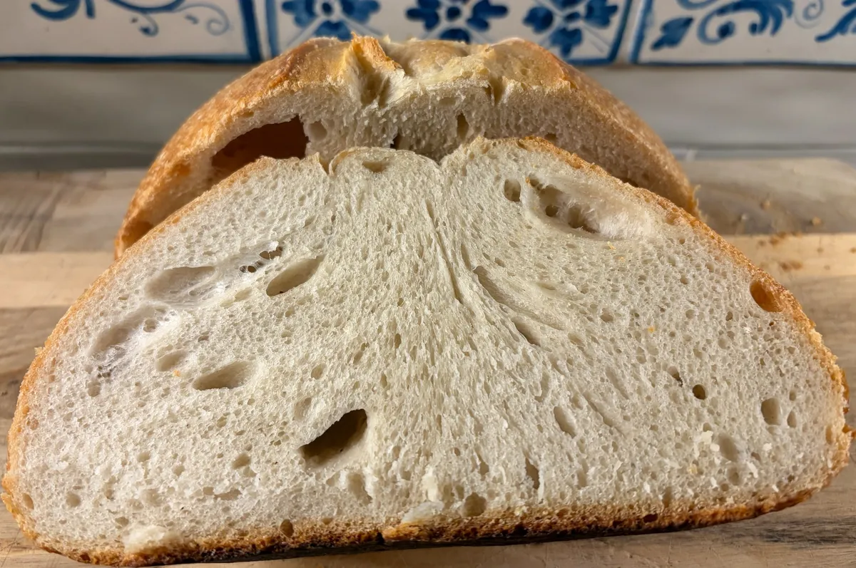 loaf-26-mollica