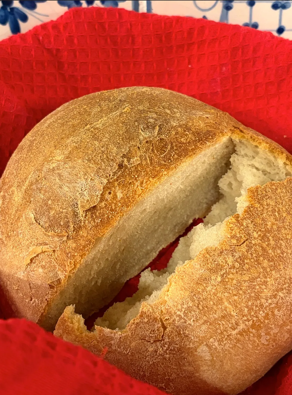 Pagnotta Robespierre