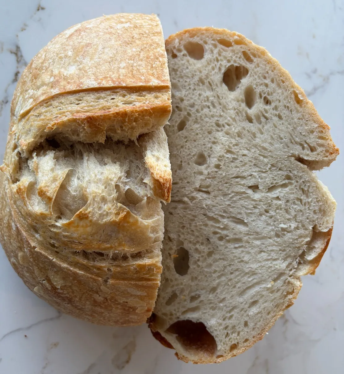 loaf-36-mollica