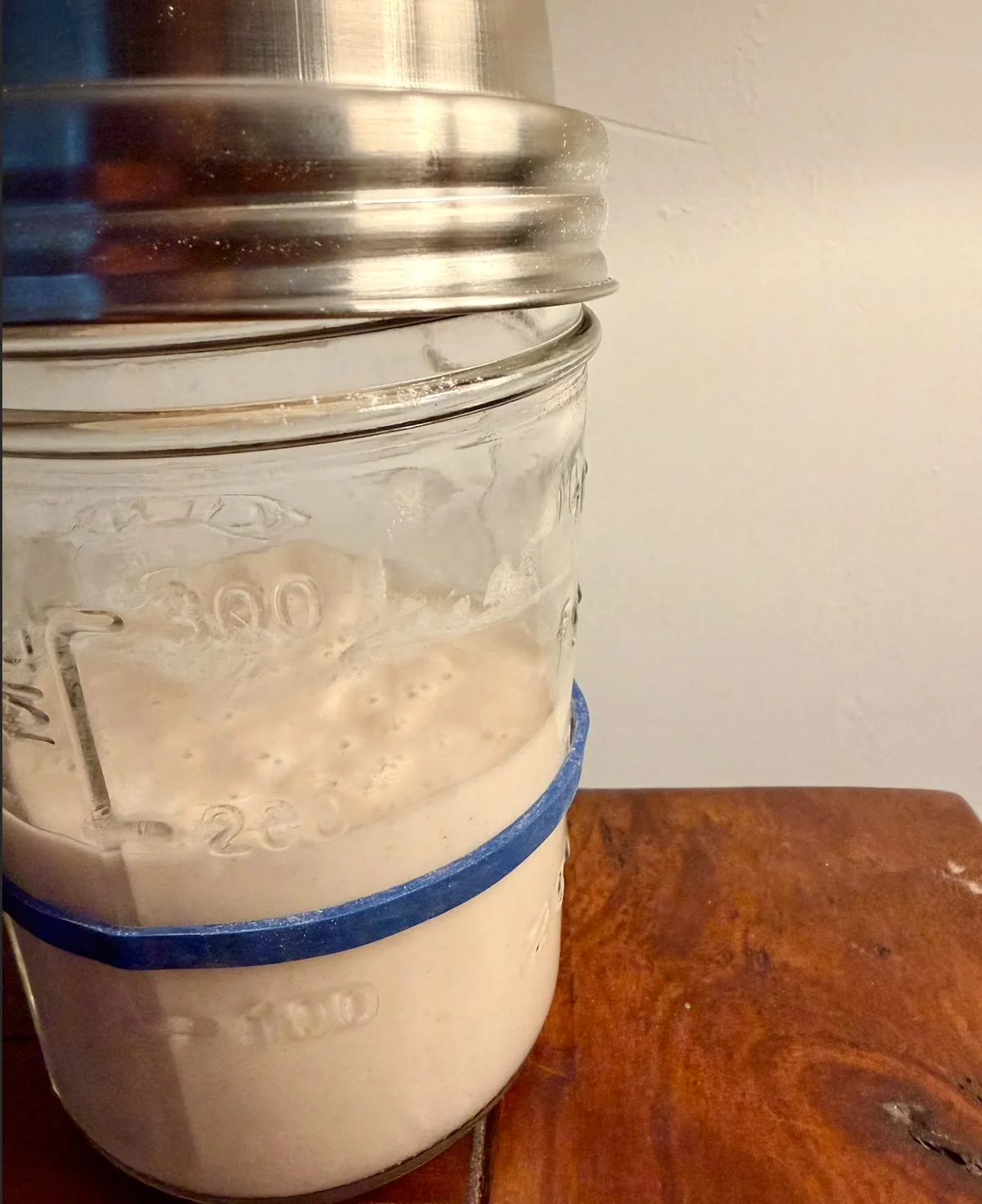 Robespierre squats an oven