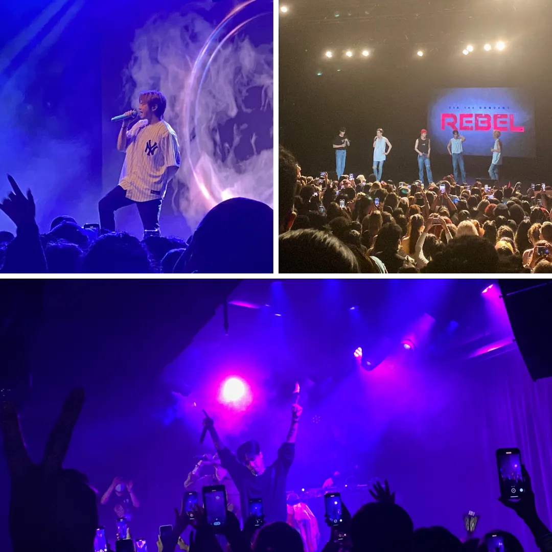 concerts2