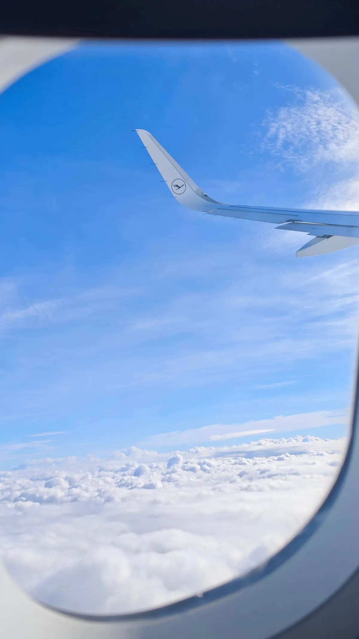 InShot_20251205_183947143