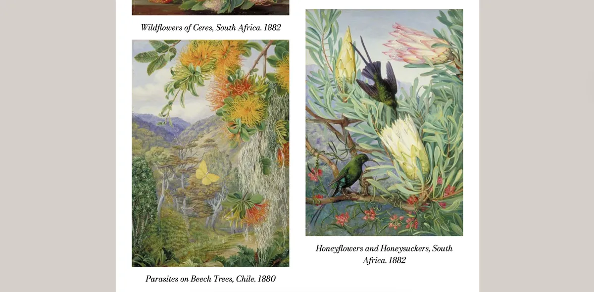 Screenshot of some paintings on the website