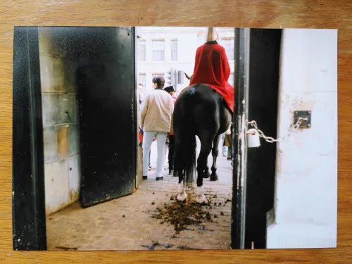 Horse poop at Horseguards
