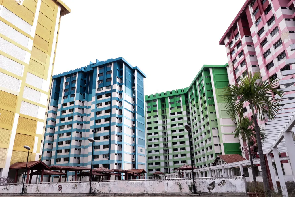 Rochor-1