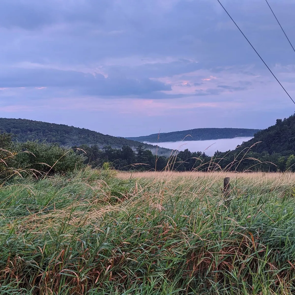photog.8.23.20