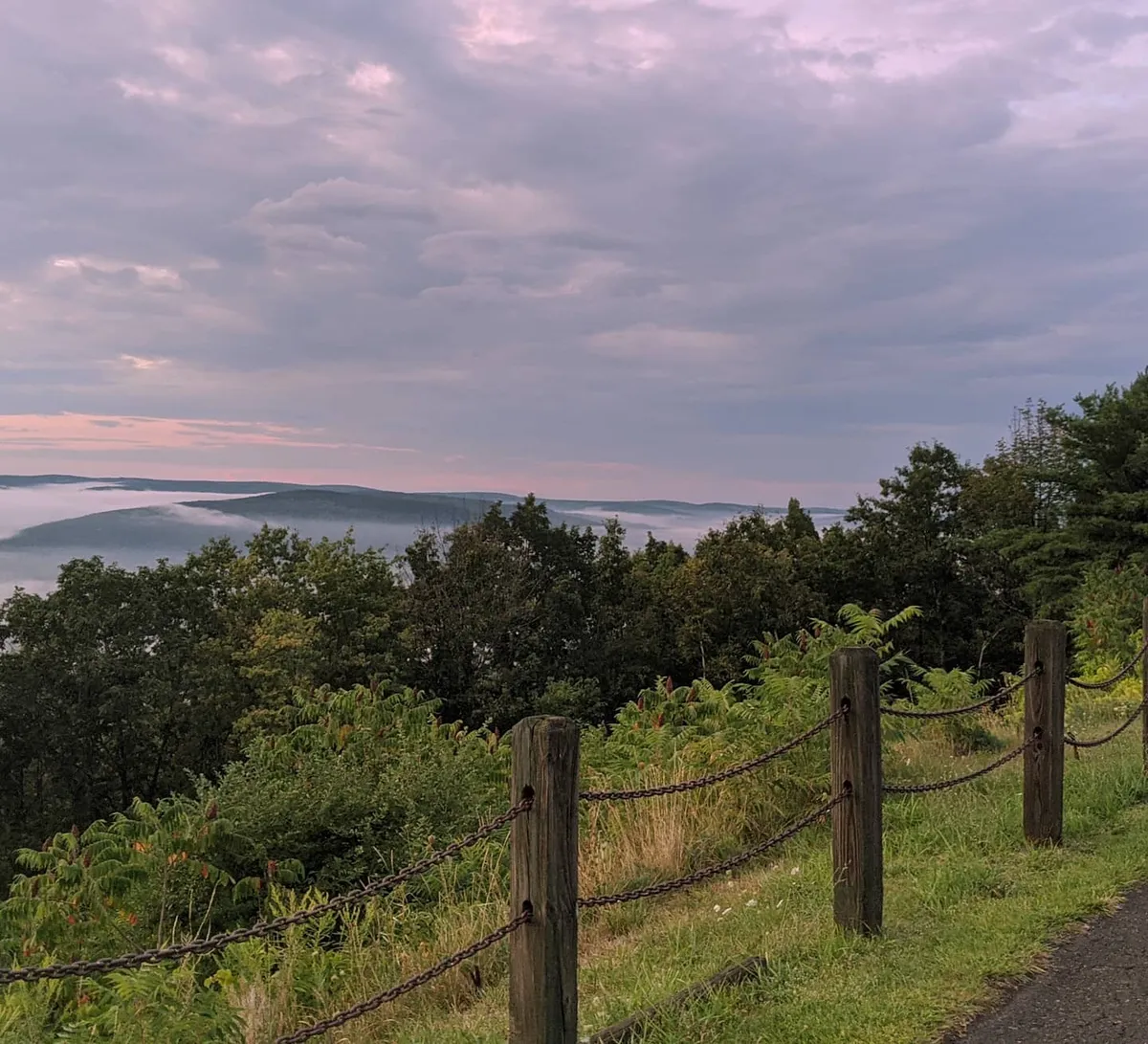 photog.8.23.20d