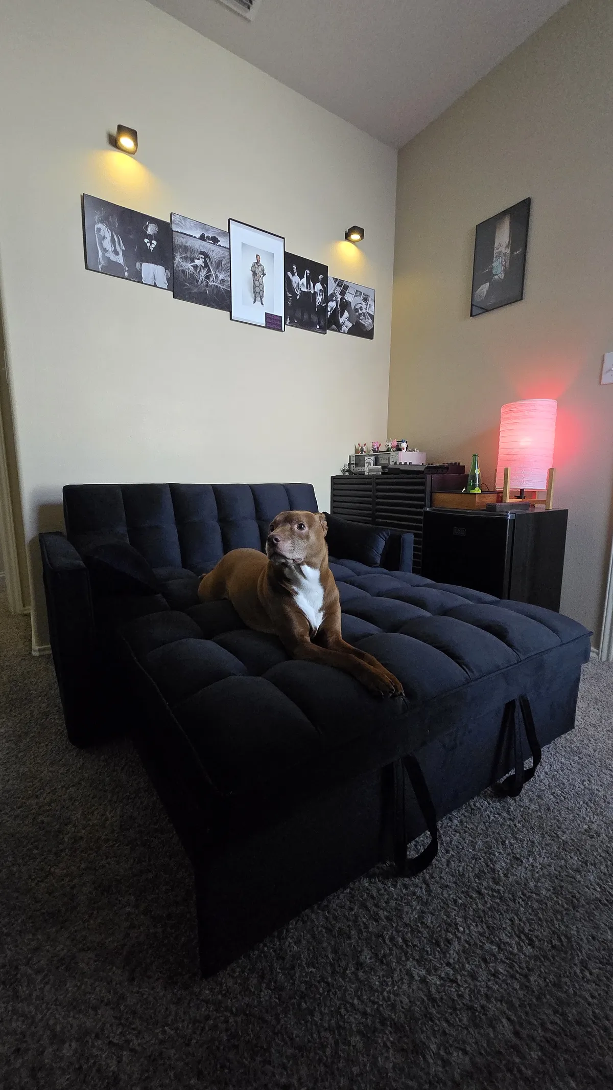 New couch ft. Hummus