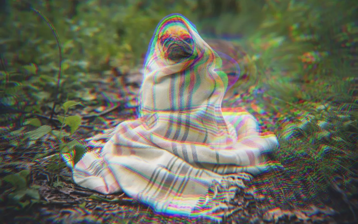 image-distortion