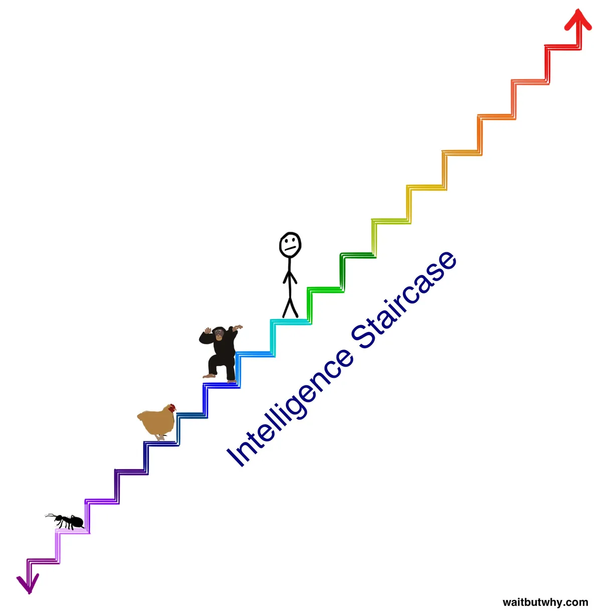 5f33053b-de8c-44f9-864d-0af9cc093174_2074x2124