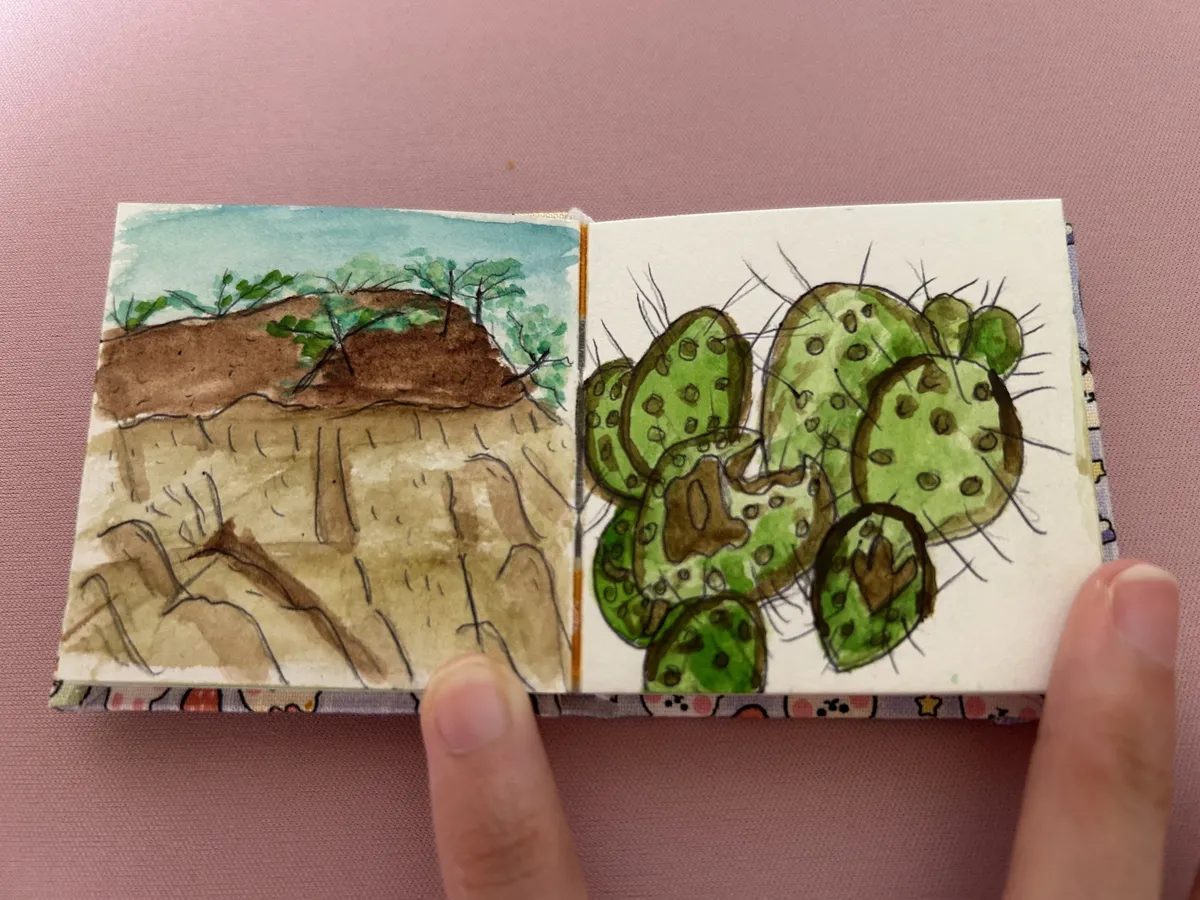 mini landscape