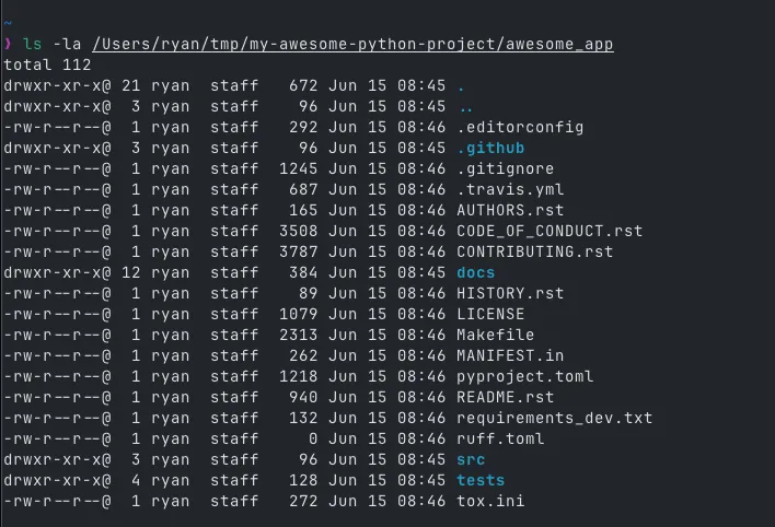 Terminal window showing the newly created project directory