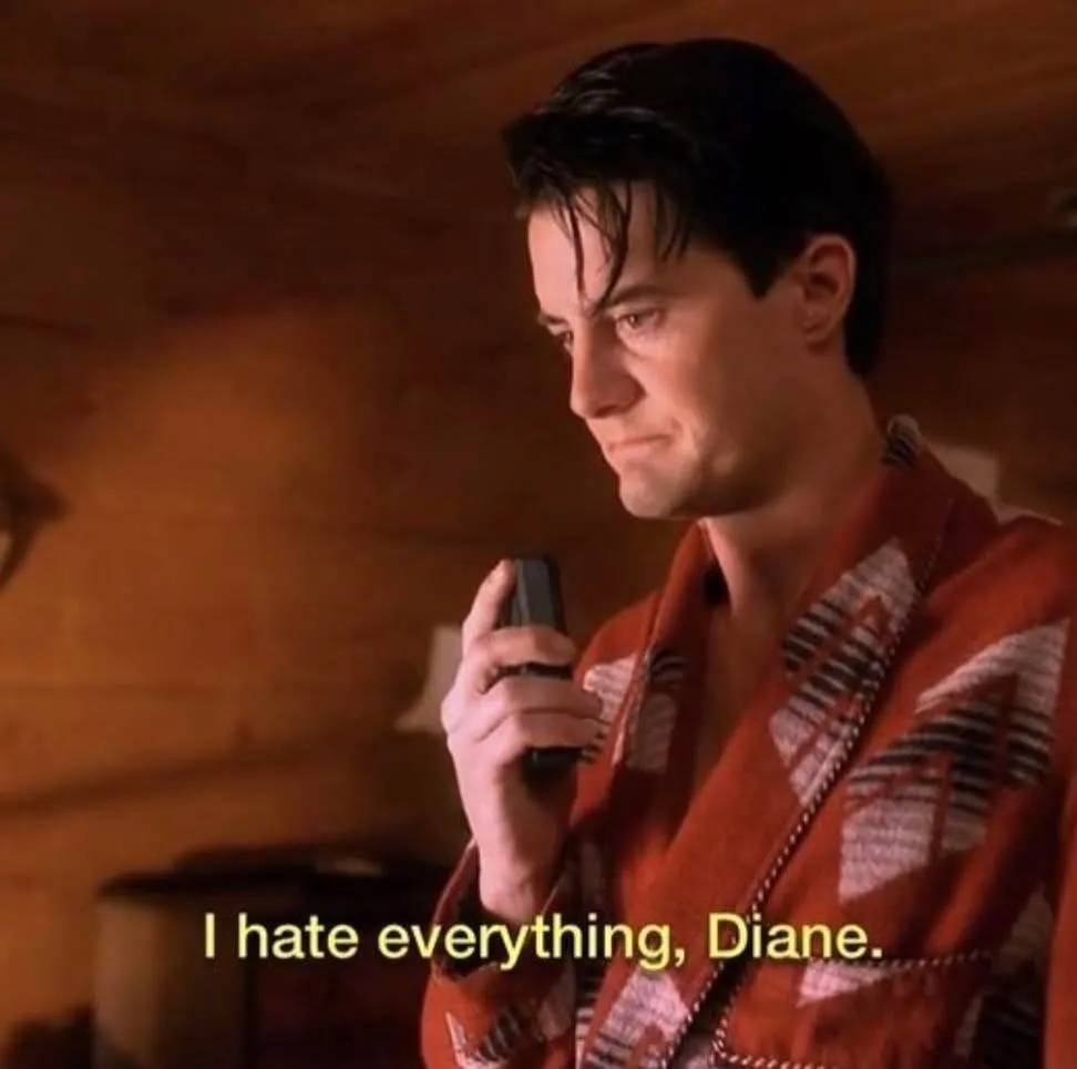 hate-everything-diane