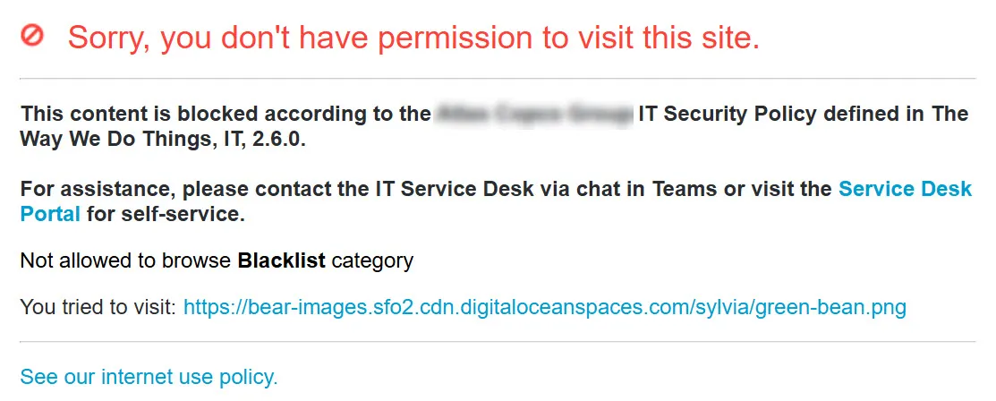 Bear images blocked notification