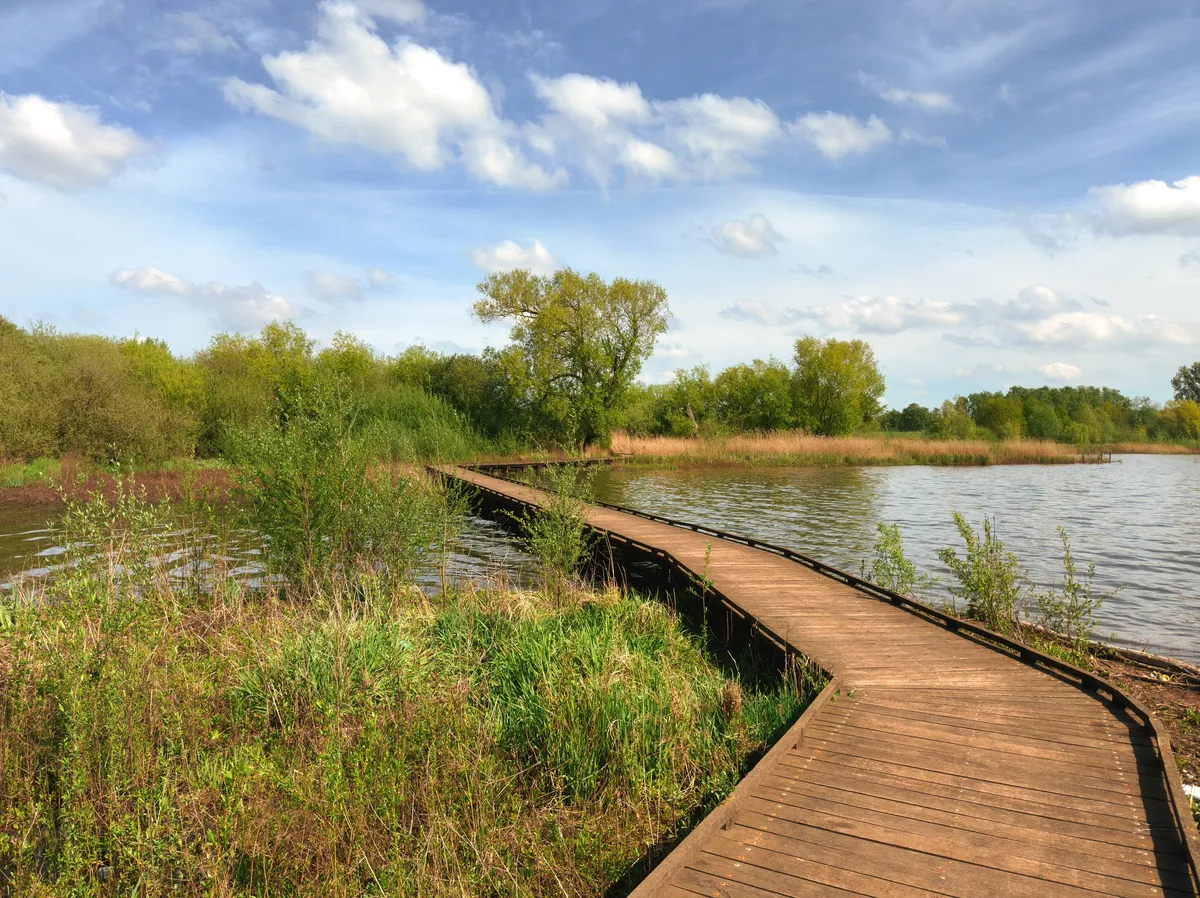 Walk by the water