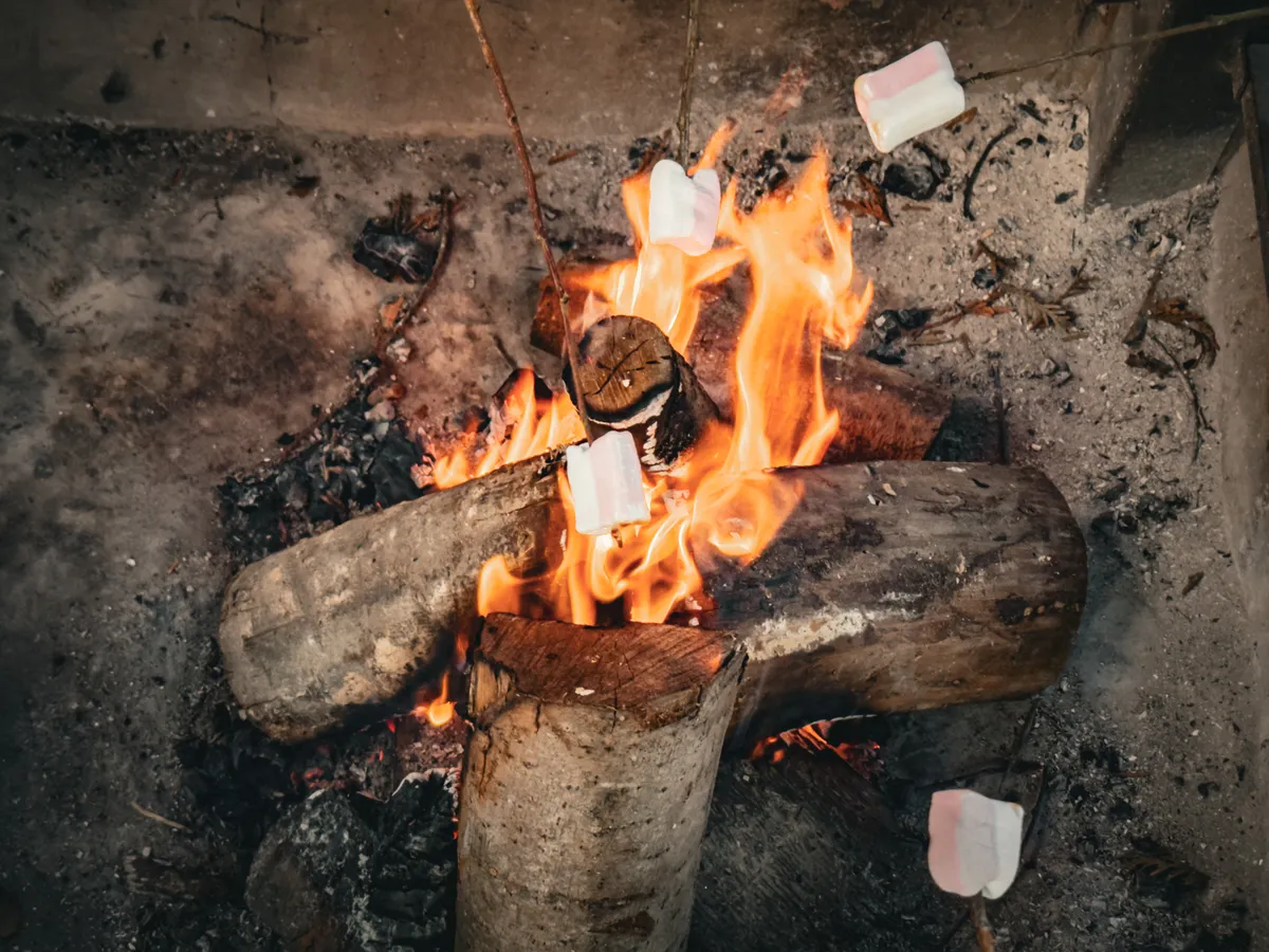 Marshmallows above a fire
