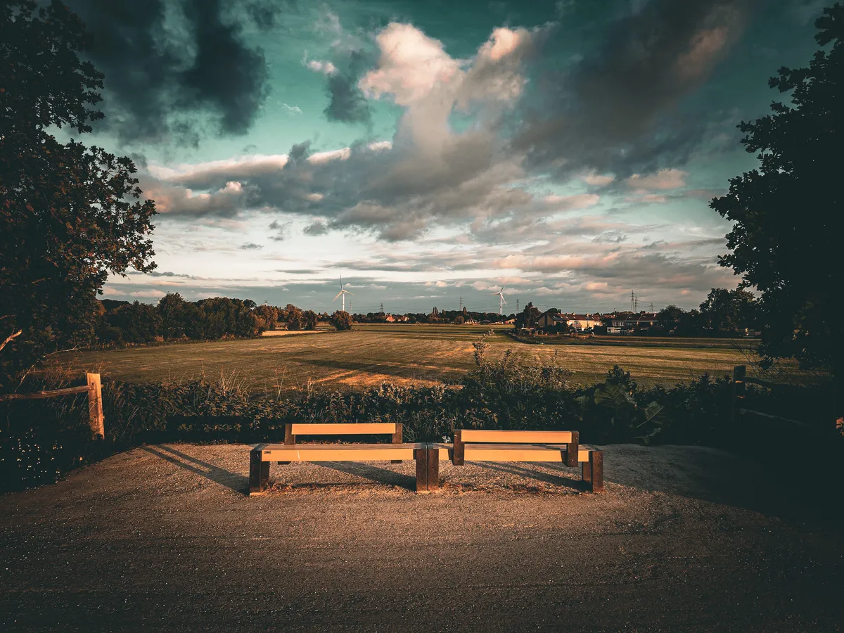 Bench looking out on a field