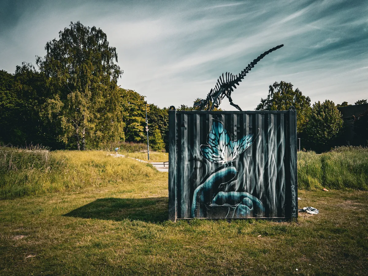 Dino & buffterfly graffiti