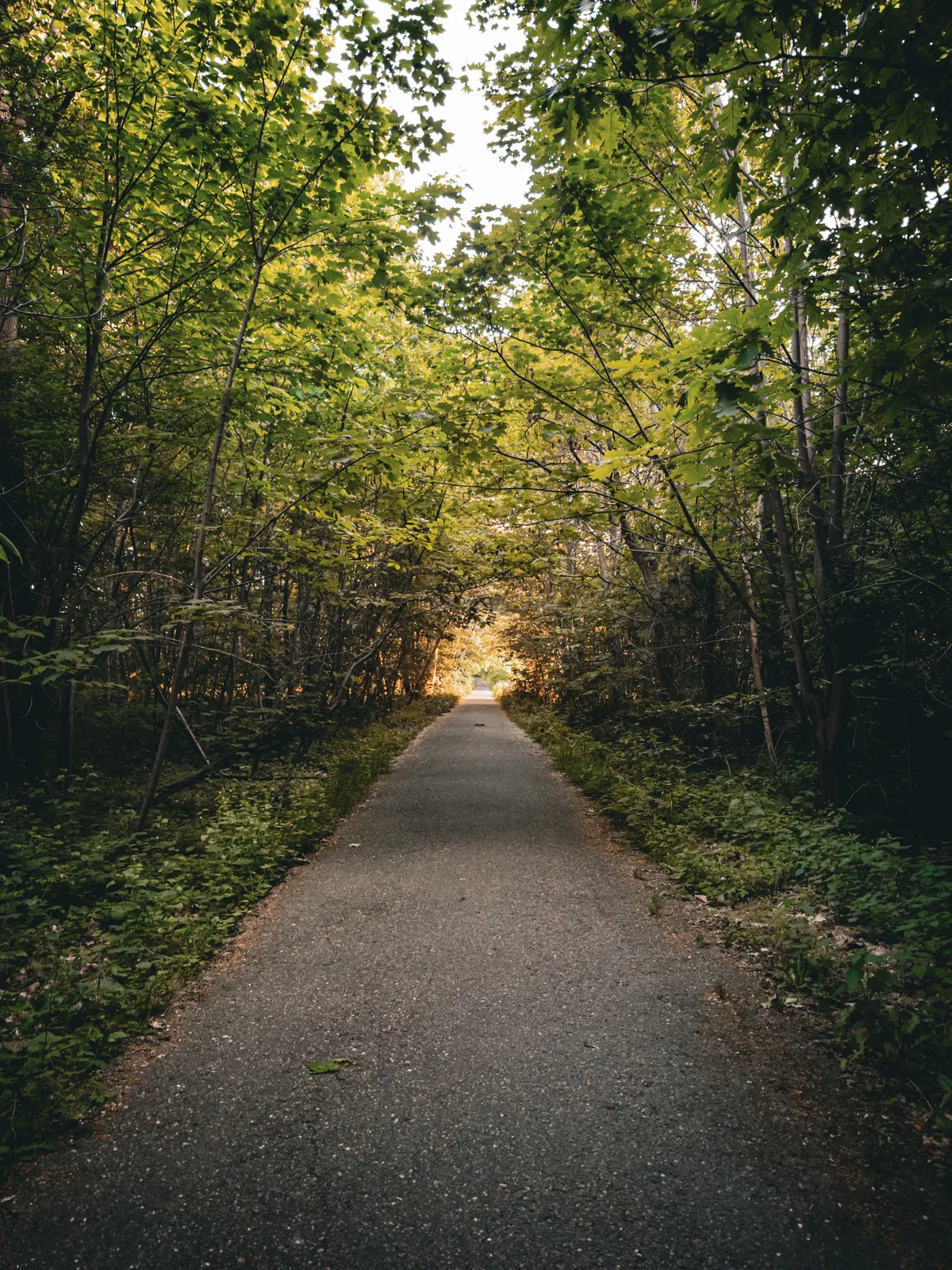 Pathway
