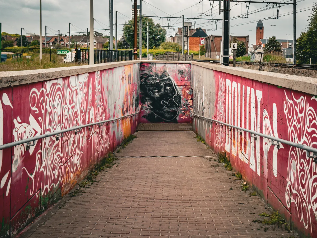 Gorilla graffiti
