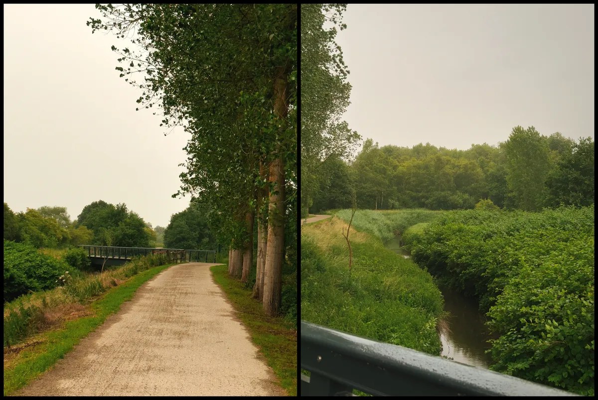 Path and bridge