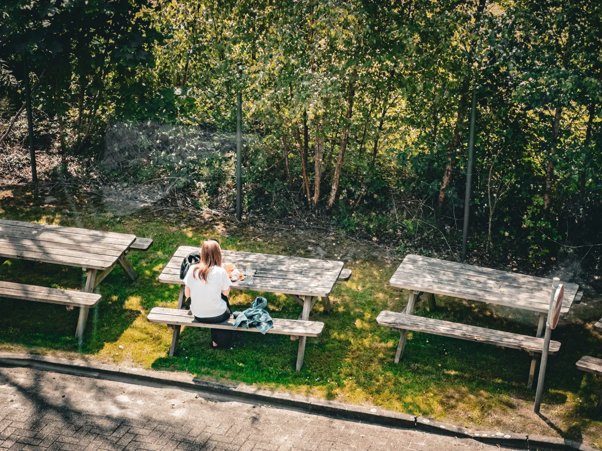 Woman having lunch