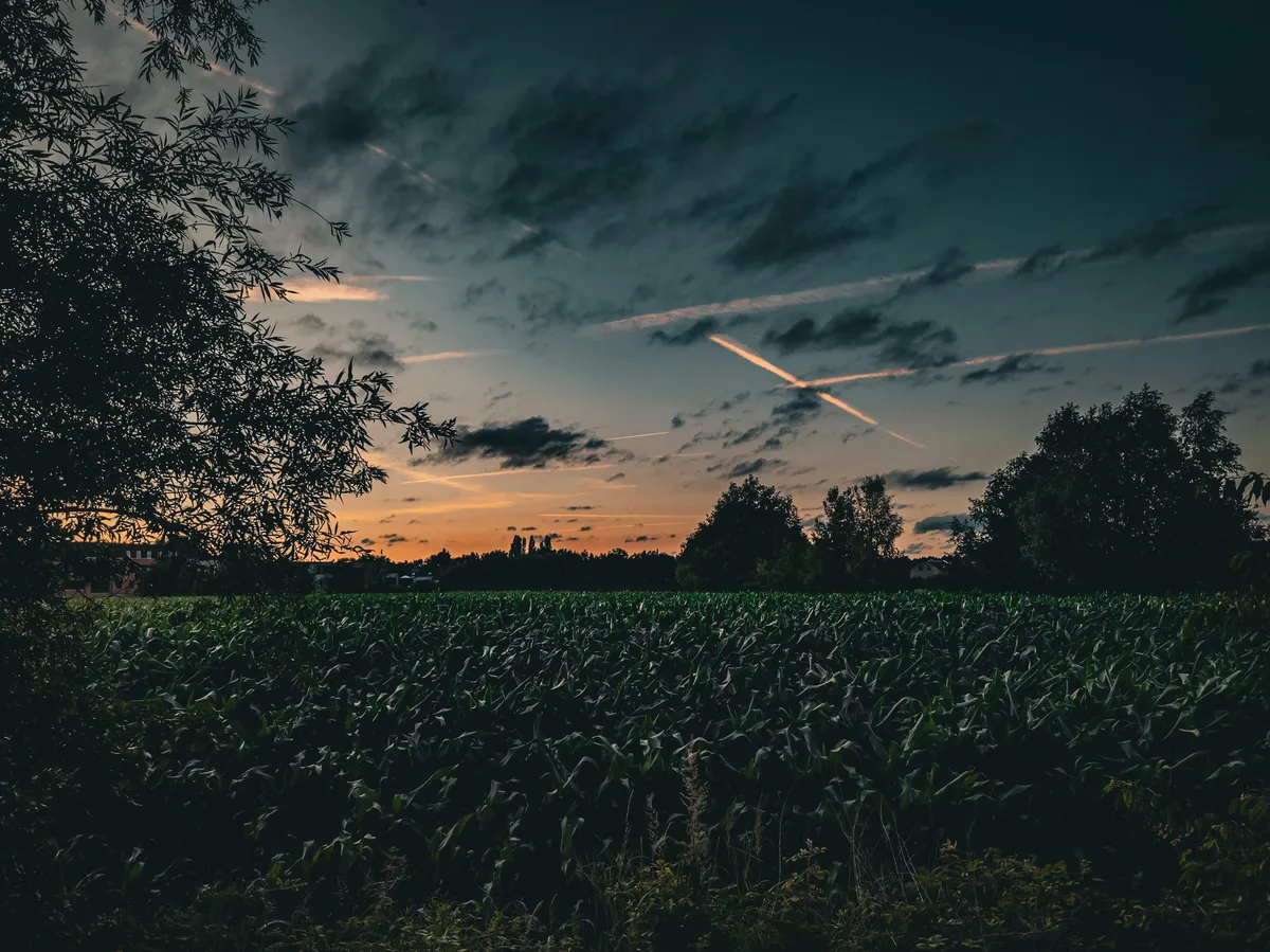 Colored sky