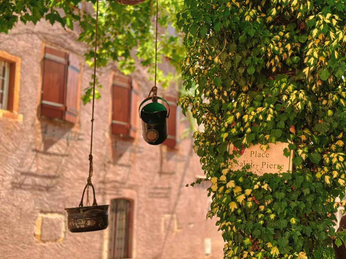A tree with things