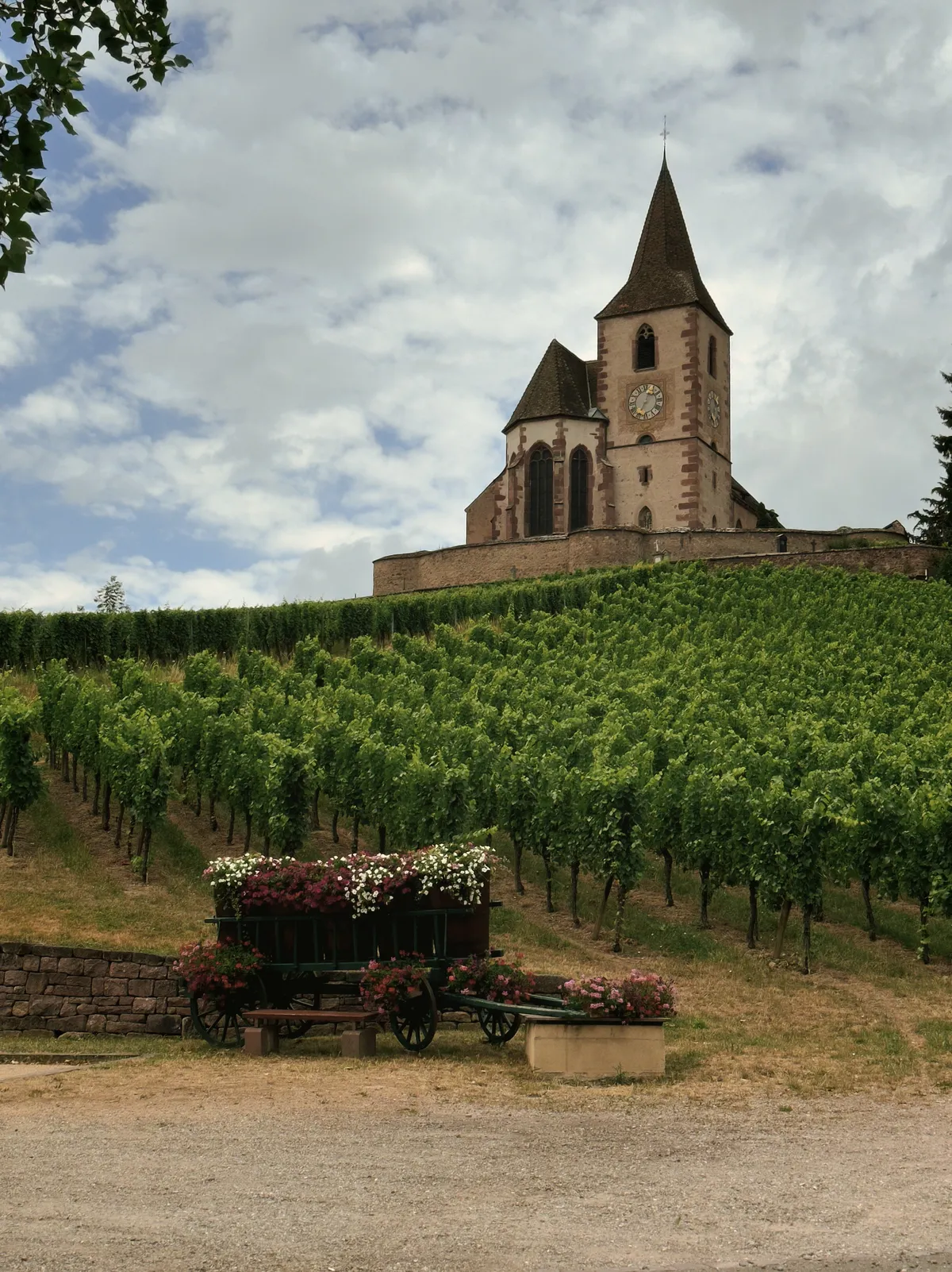 Church on a vineyard hilltop