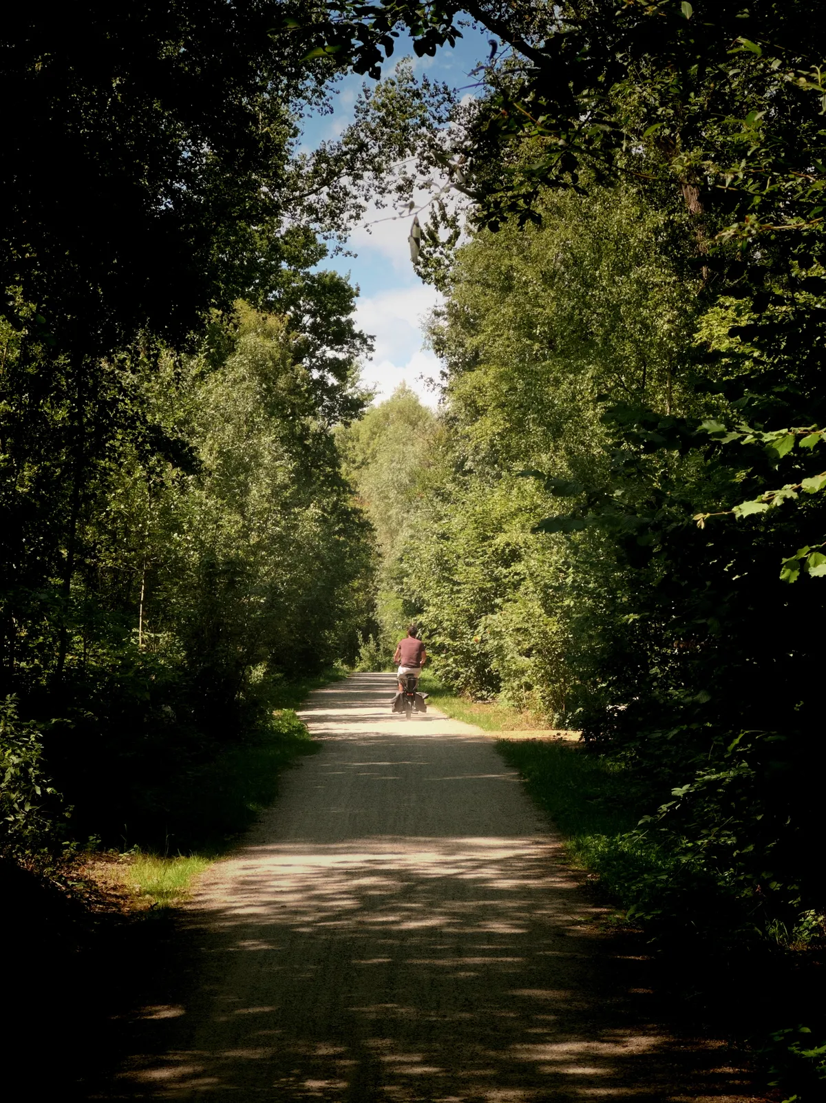 using trees and shadow to frame a biker