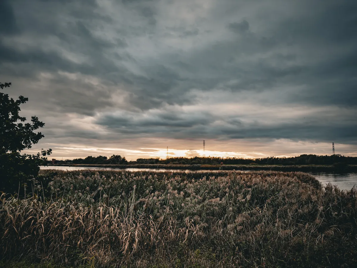 shot at the river bank