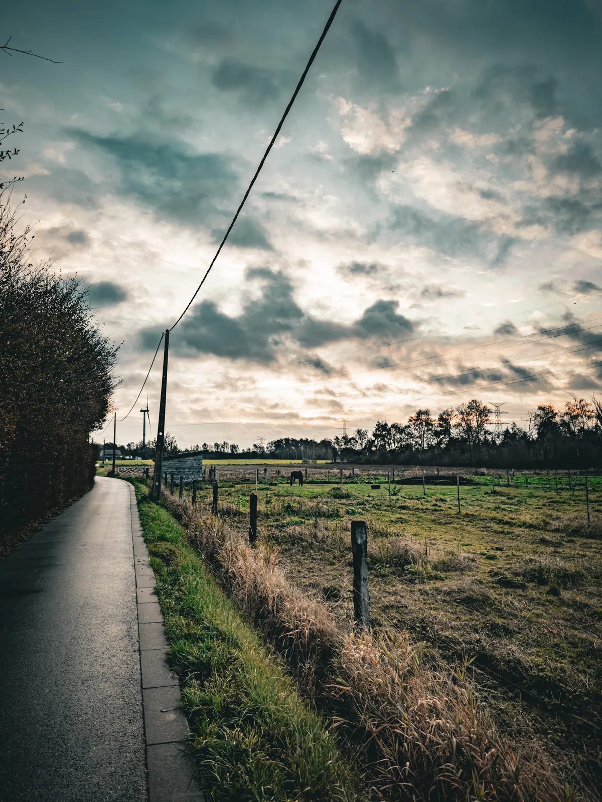 a view of a road leading uphill next to a horse