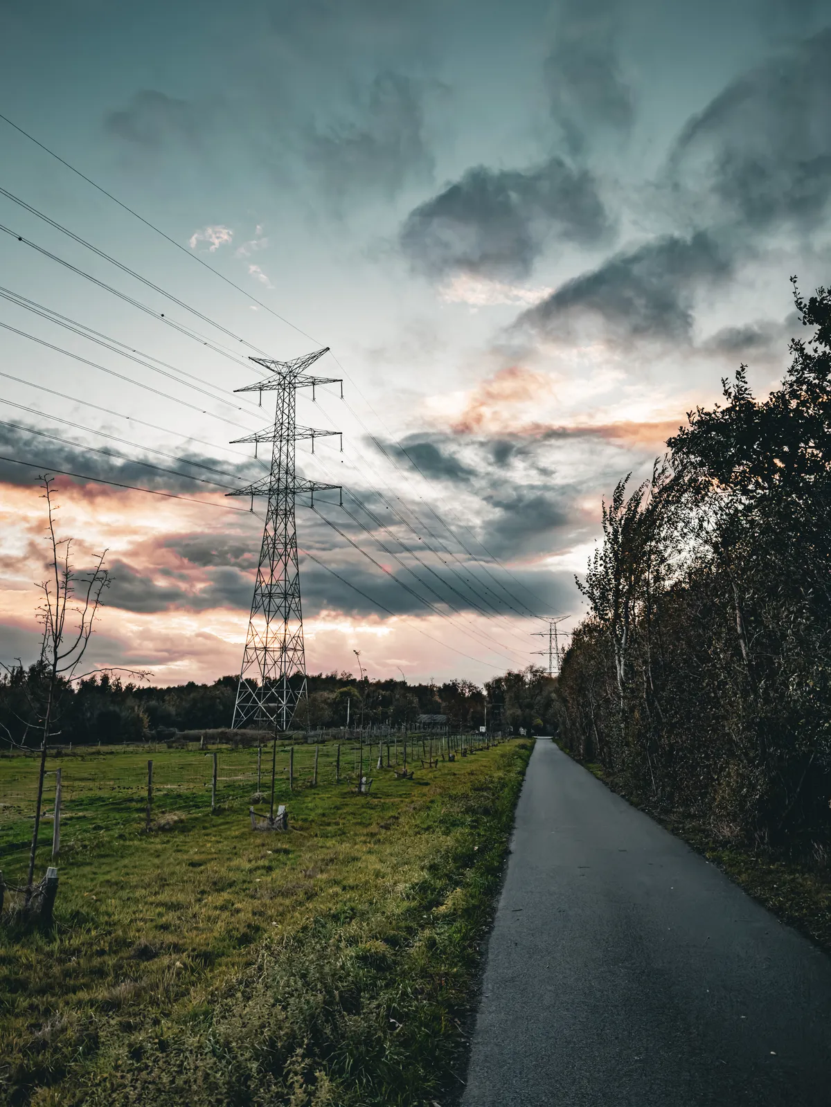 lines in the landscape