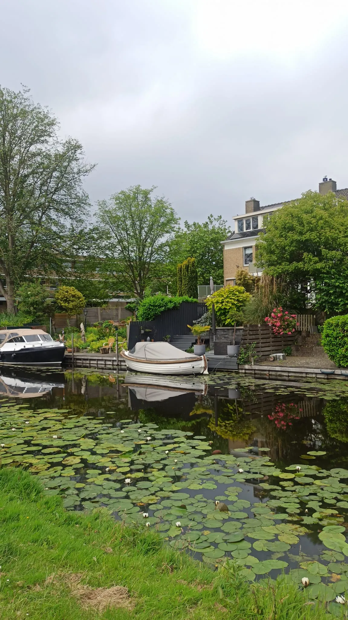 WhatsApp Image 2026-06-23 at 14