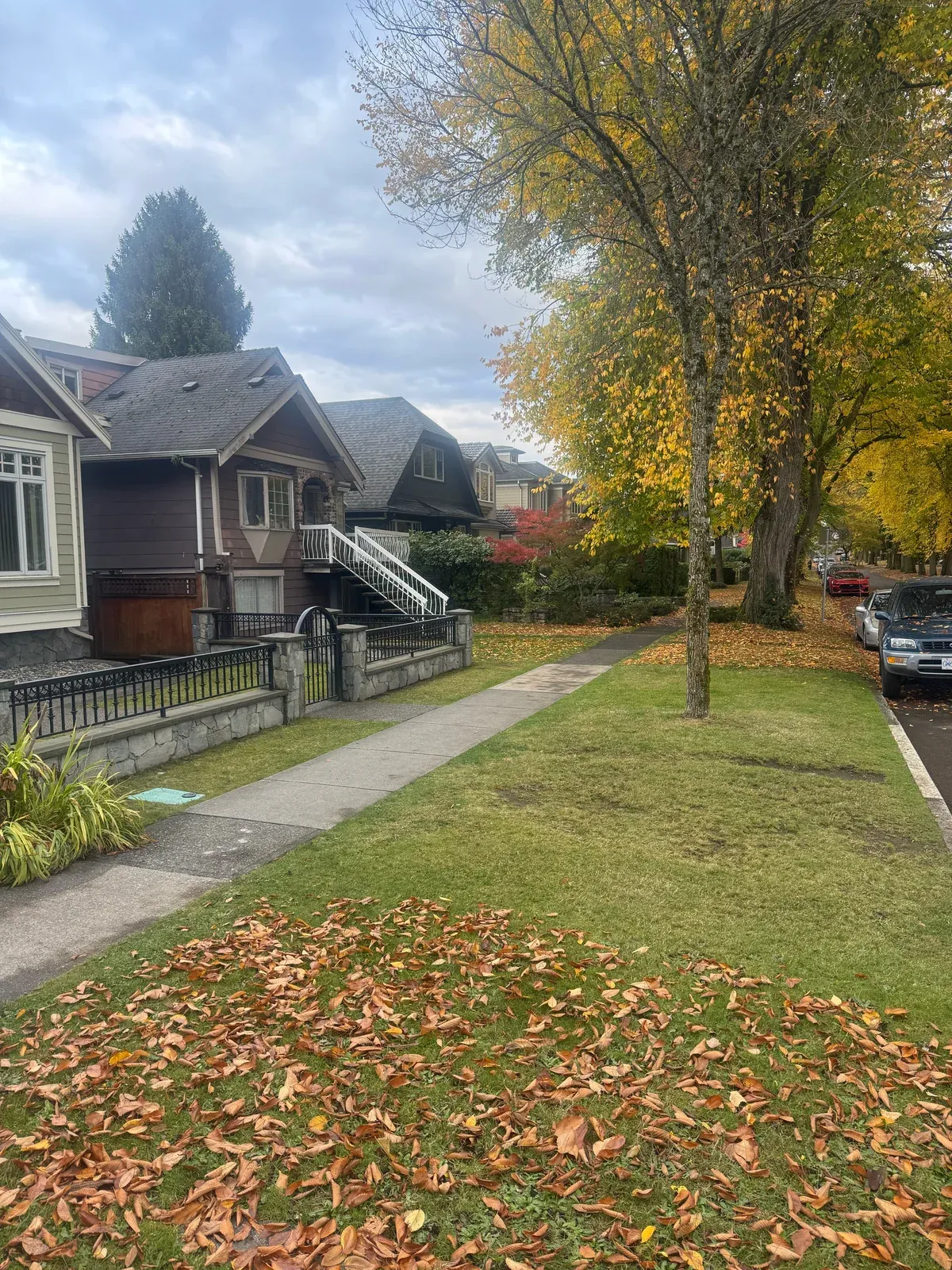 Looking down the block: fallen leaves right up to the property line, then spotless green grass and sidewalk.