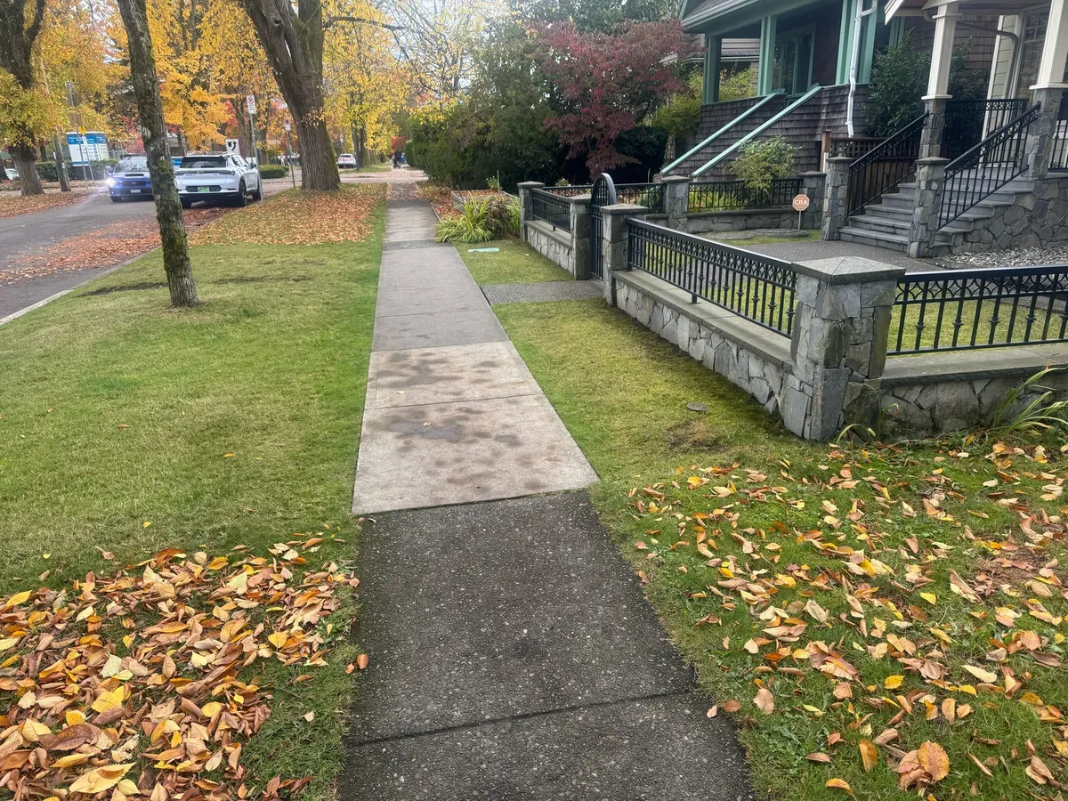 Looking back from the other side: cleared right to the stone wall and wrought-iron fence, where the leaves start all over again.