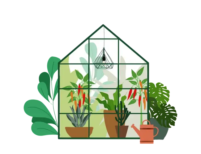 greenhouse