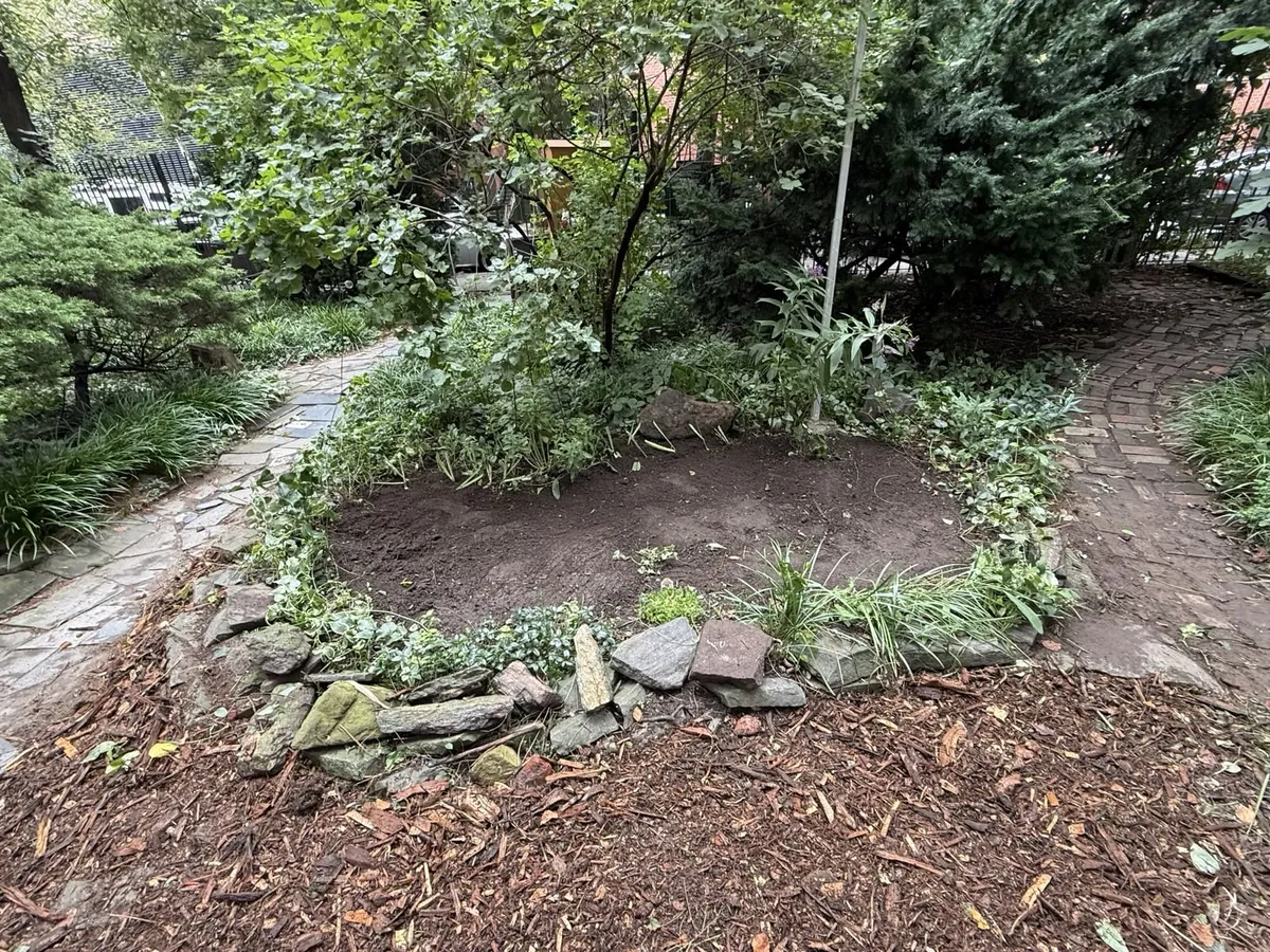 The site after weeding