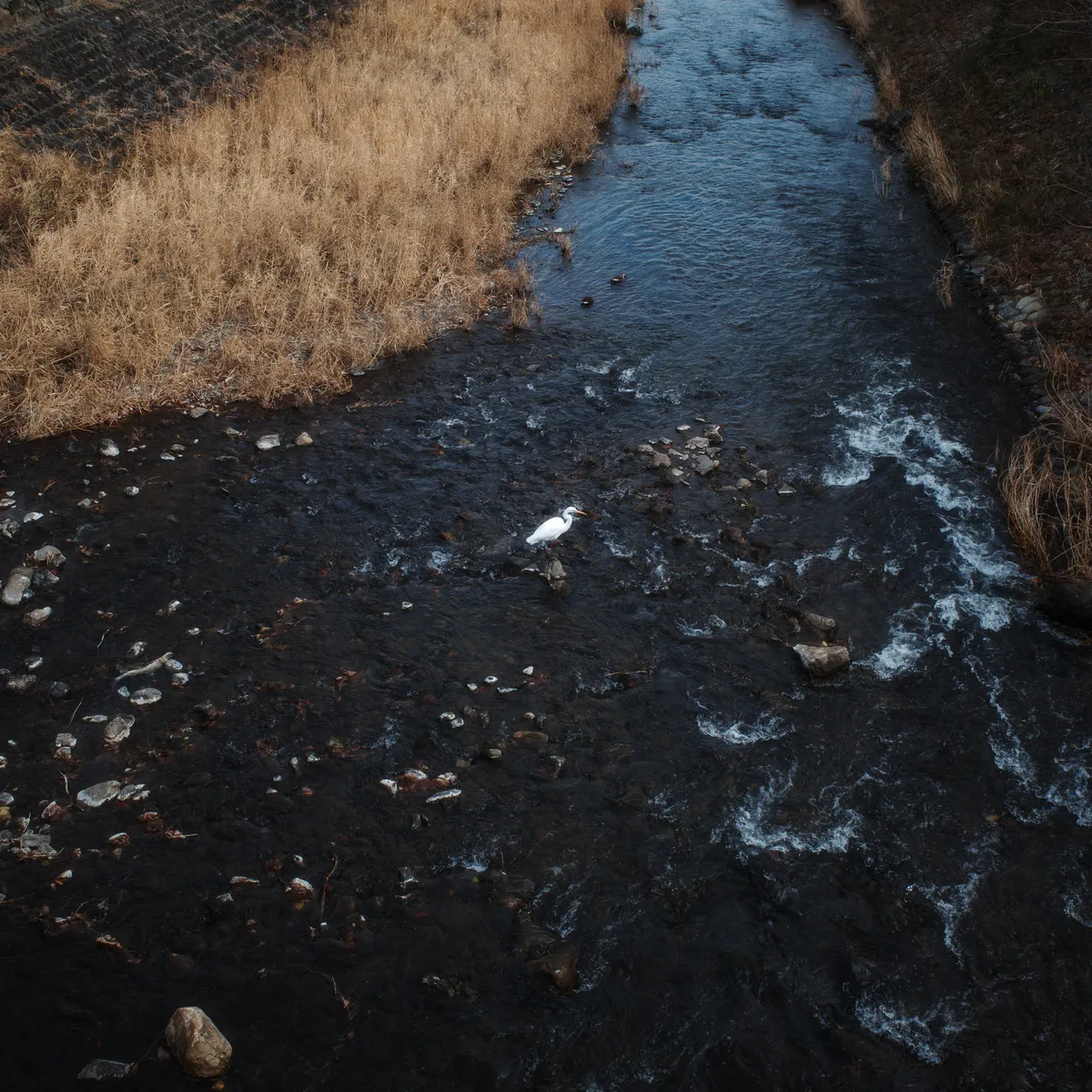 R0001982