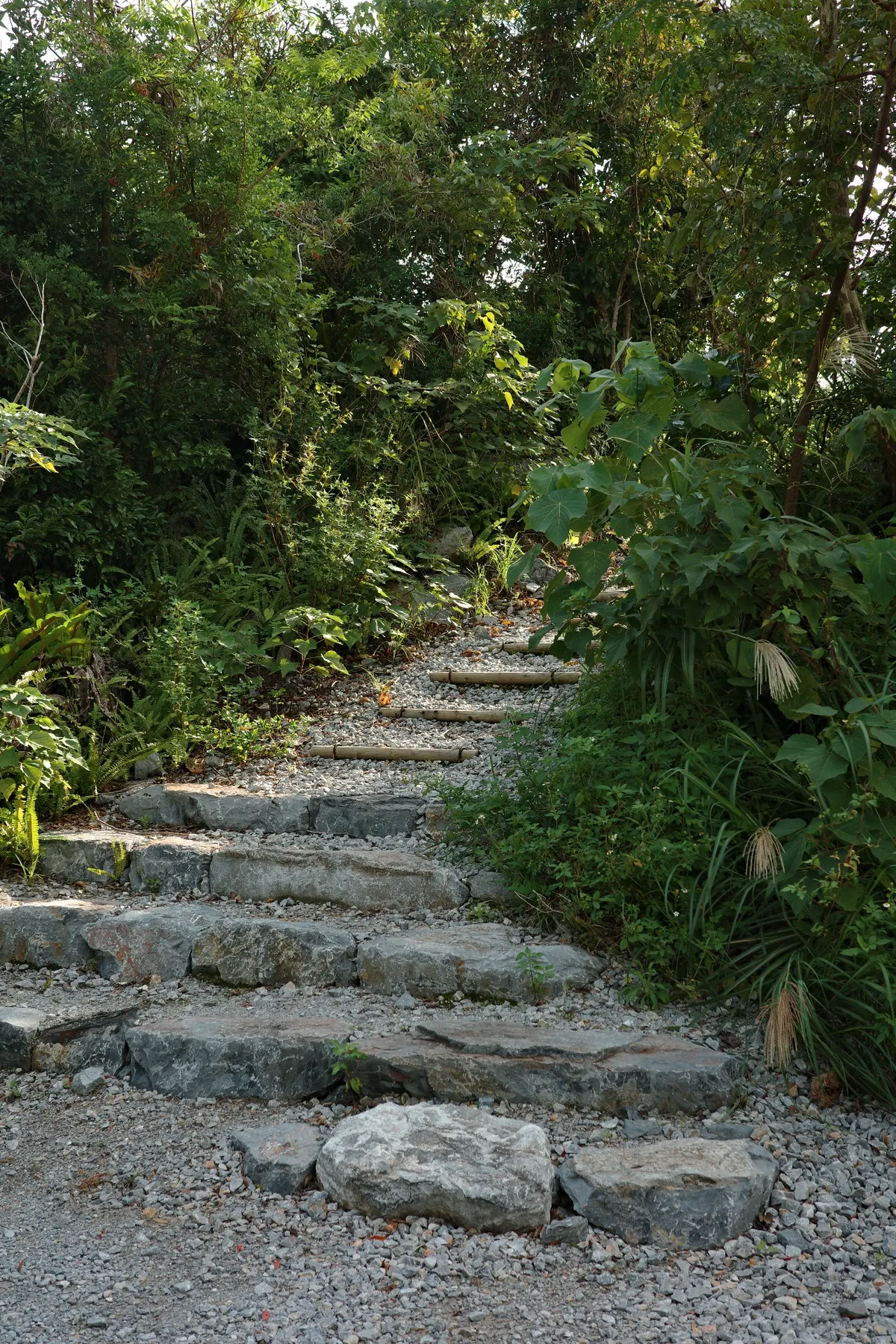 1763165559000_R0004066