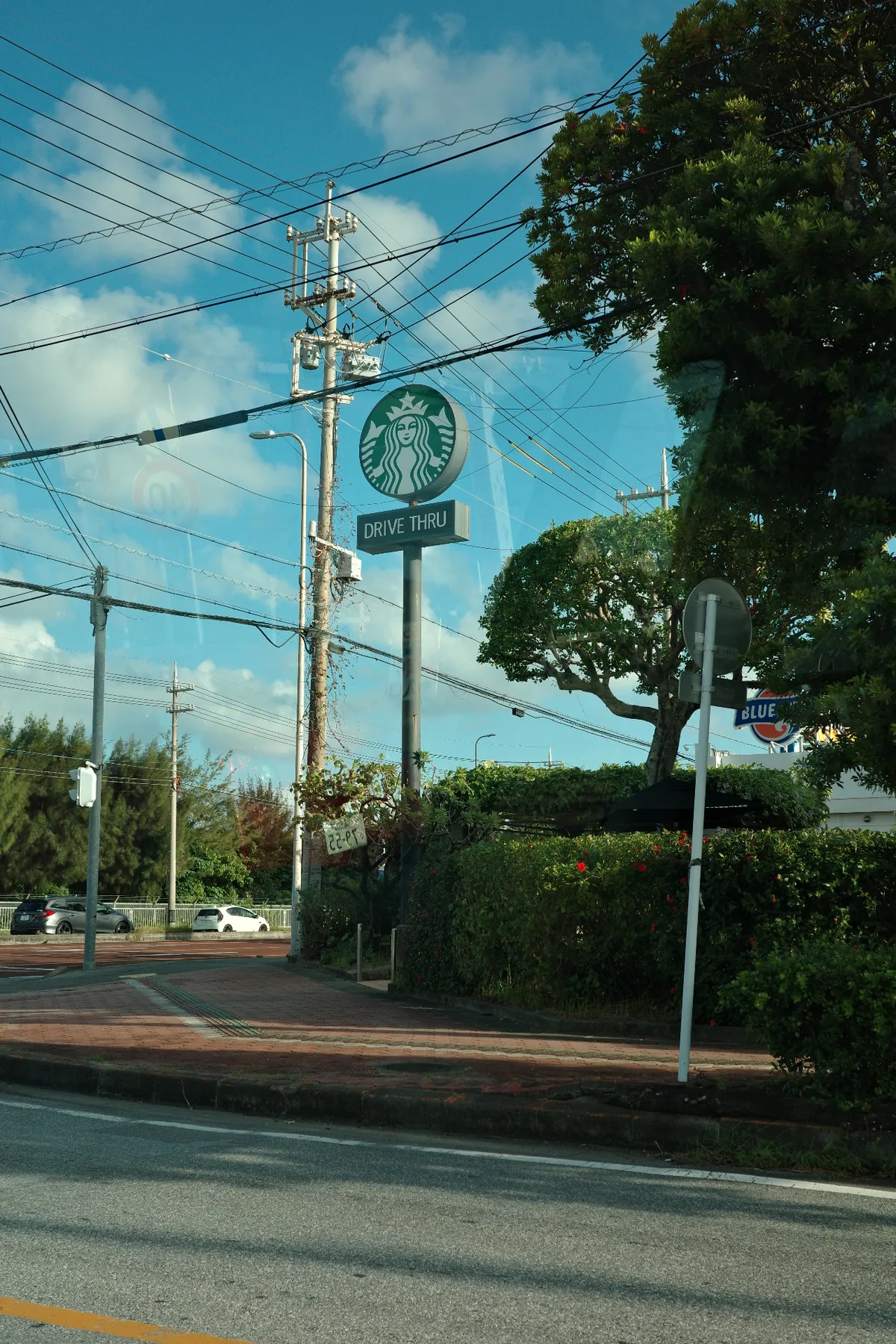1763276449000_R0004442