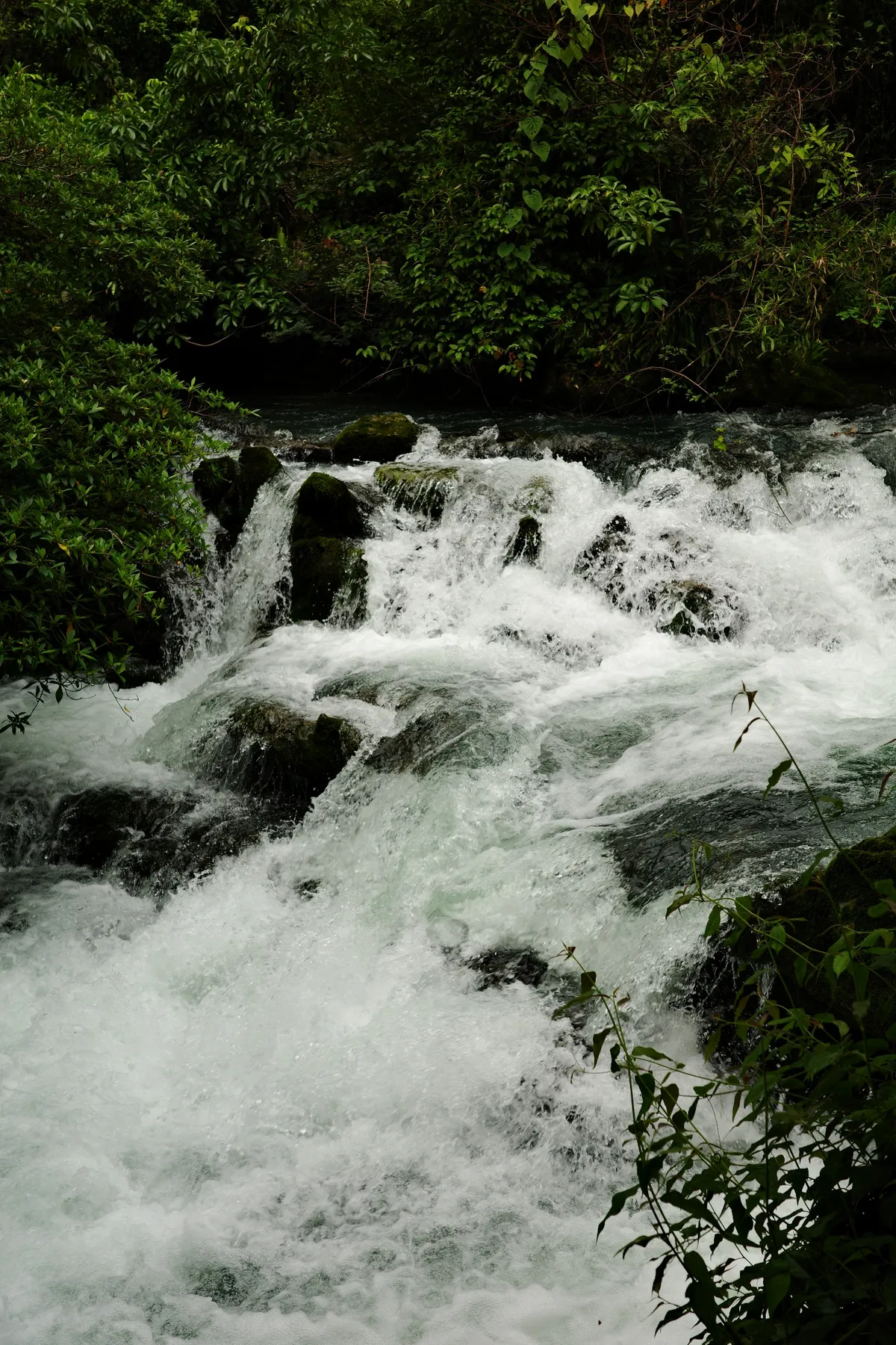 R0000227
