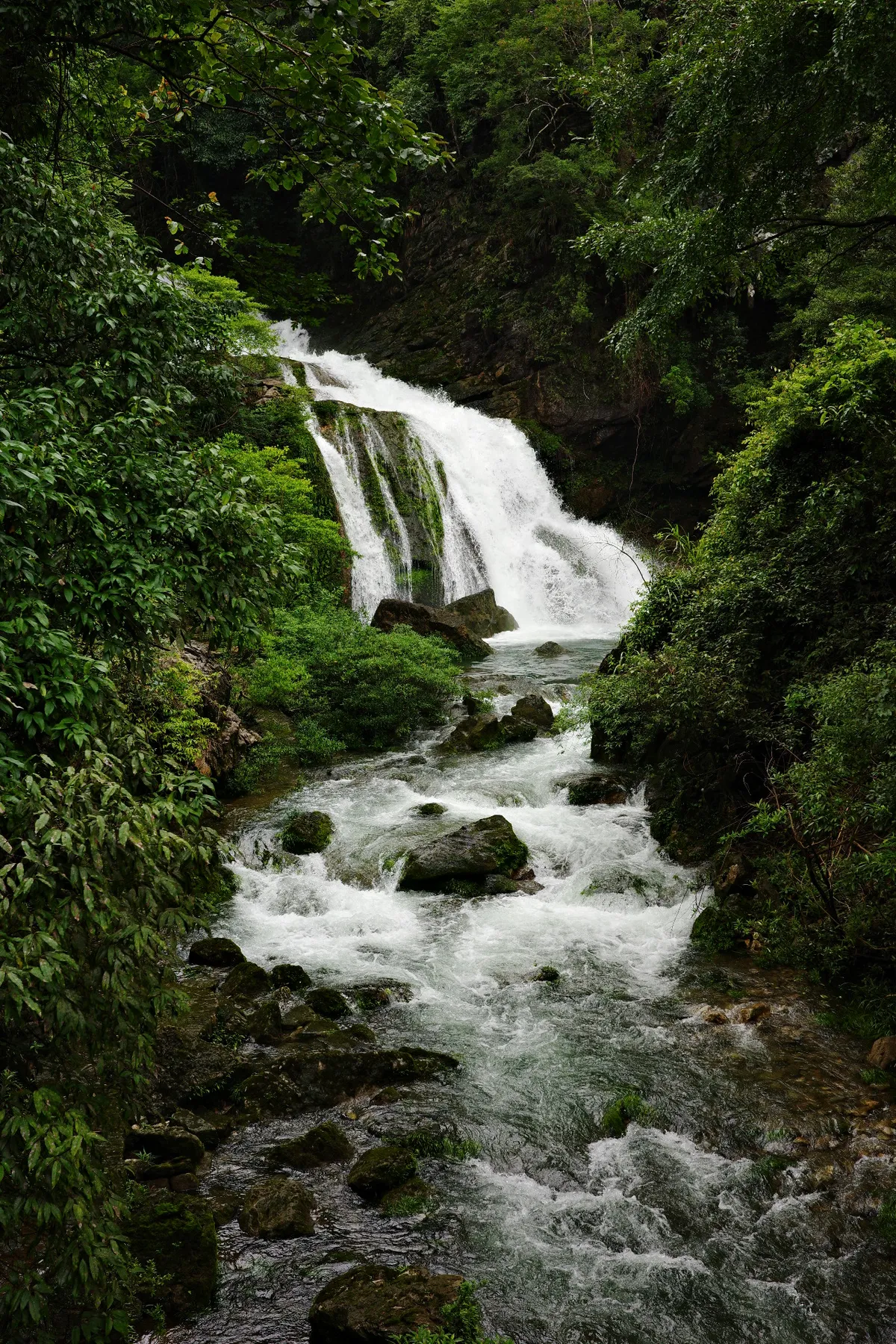 R0000265