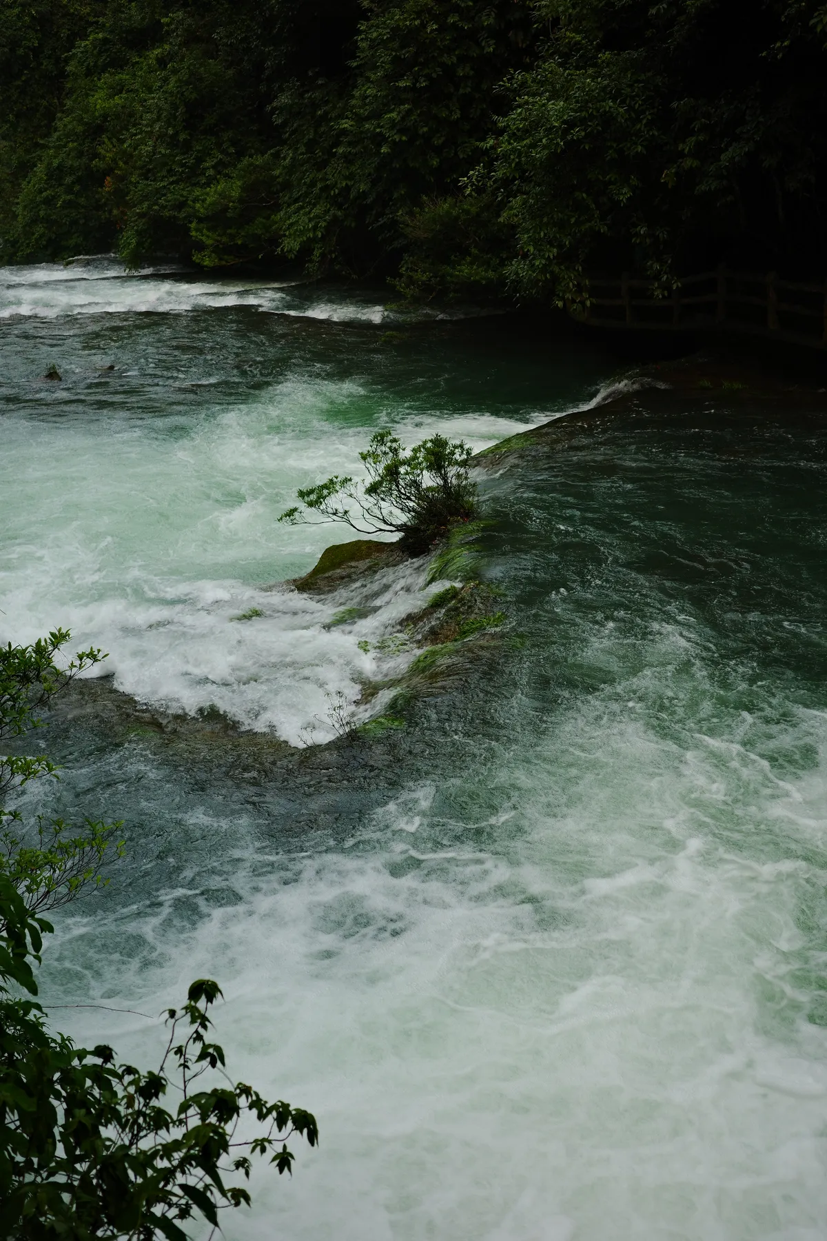 R0000353