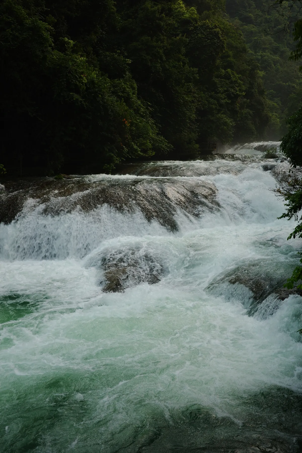 R0000361